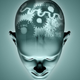 Image for article titled How to Catch a Terrorist: Read His Brainwaves